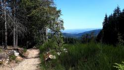 Descente vers les Garnes, paysage
