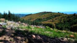 Paysage entre les Garnes et la Pierre Follet