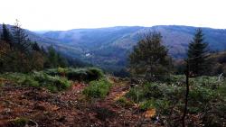 Vue sur le Massif des Bois Noirs
