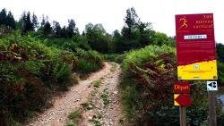 Terrible montée raide et pierreuse de Terrenoire