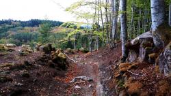 Portion sympa sur le GR 463