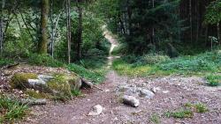 Au fond du vallon du Sapey avant Périasse