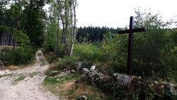  Croix en haut de l'allée des géants (hêtres tortueux)