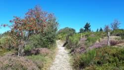 Vers le Roc du Vacher