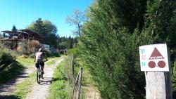 Vers la boucle dans les Bois