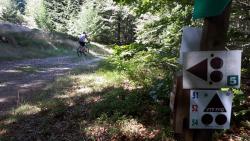 Boucle dans les Bois