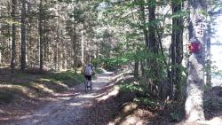Boucle dans les Bois