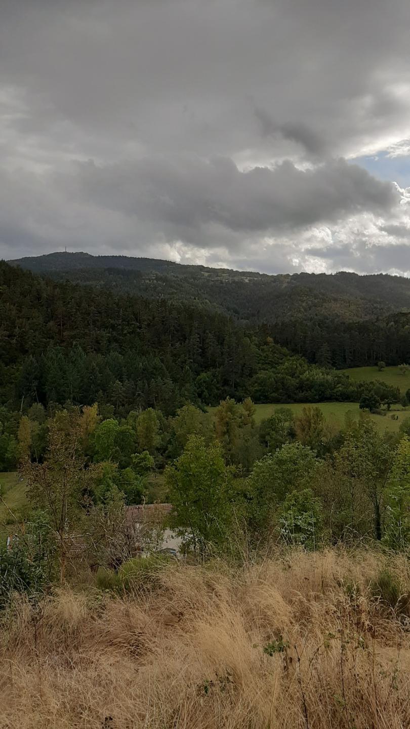 De Bas-en-Basset à Chasles puis retour par le sud de Valprivas