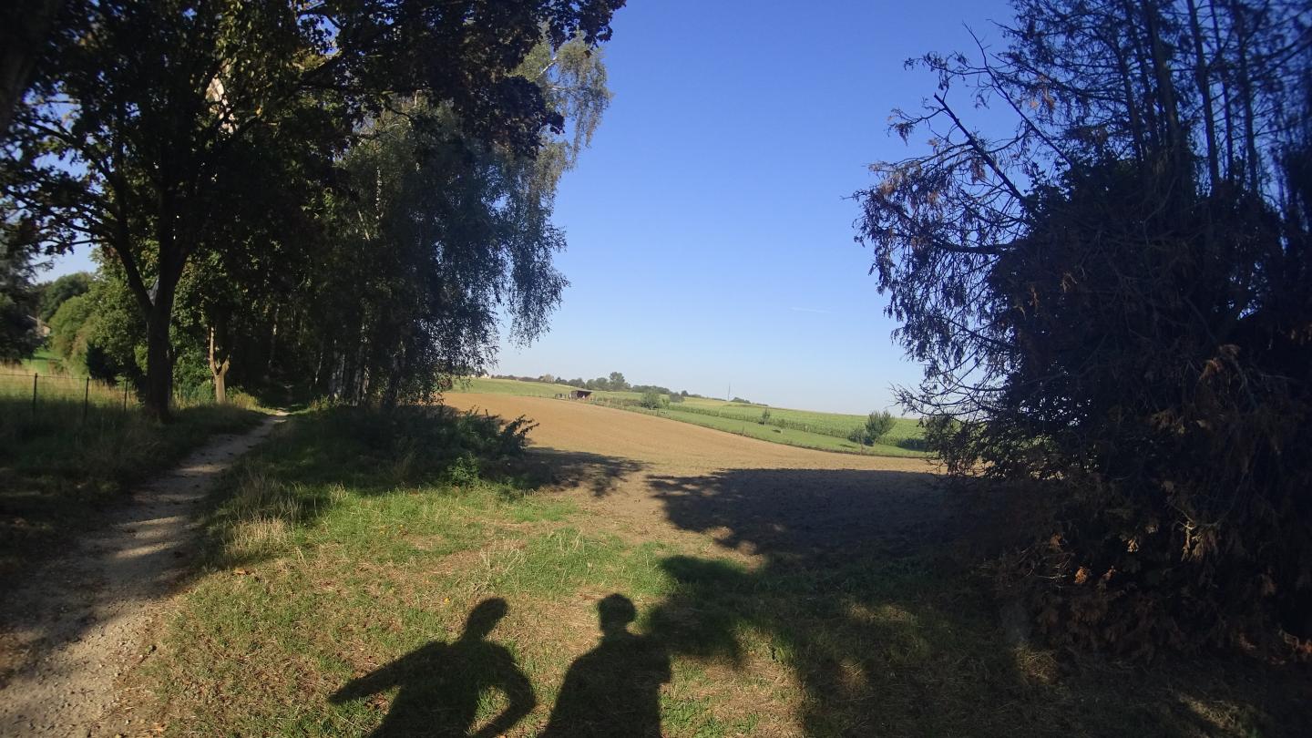 De Ransart à Villers-la-Ville par Rèves