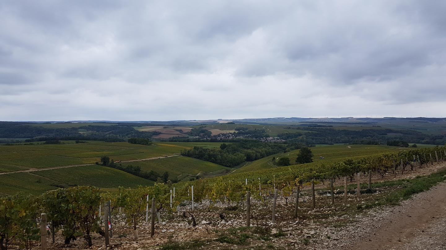 Circuit au sud de Chablis