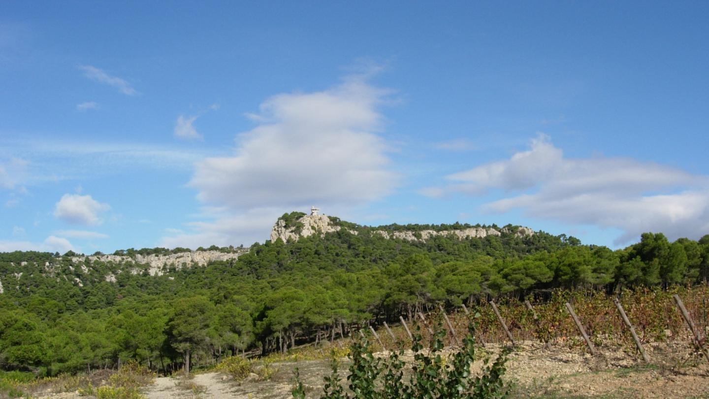Single sous la Vigie de Gruissan
