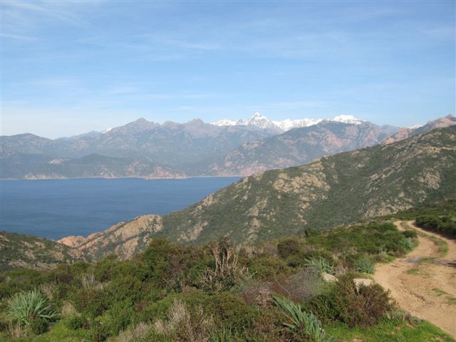 Cappu Russu