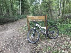 VTT-22985