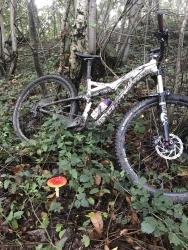 VTT-22986