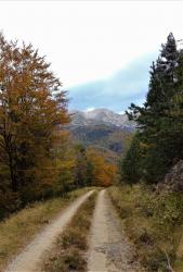 Piste de la Parcigoule