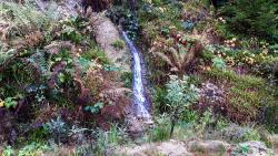 Bois des Crèches, petite cascade éphémère