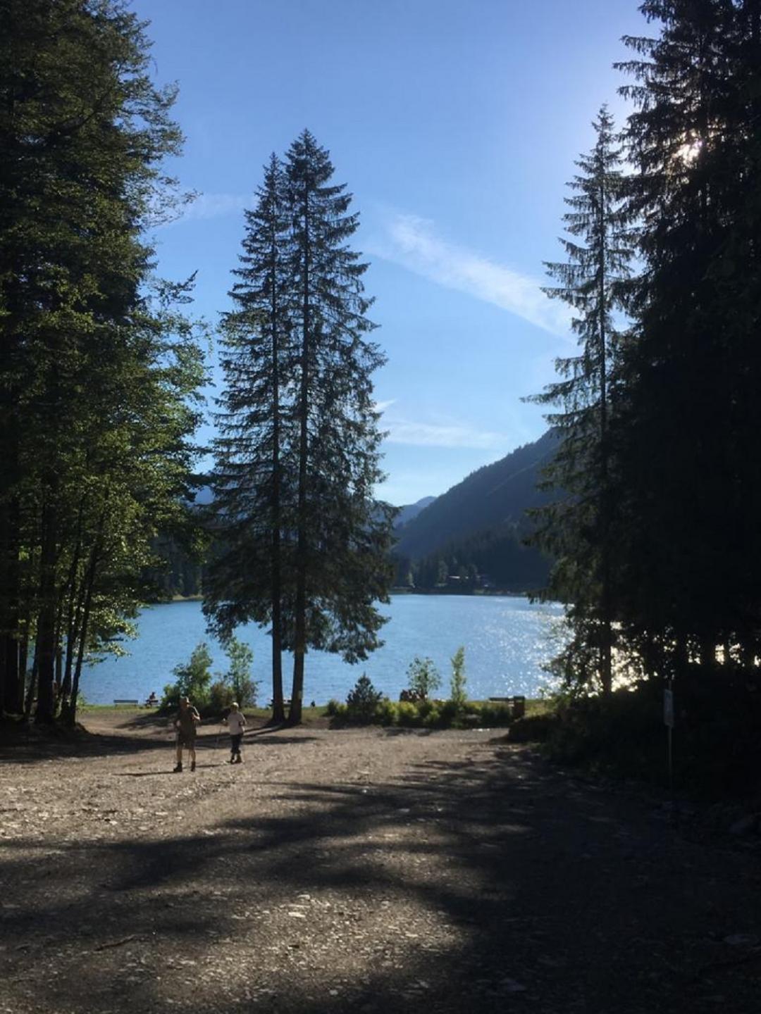 R Bikes Ardent Sports - Cascade d’Ardent par le lac (variante technique)