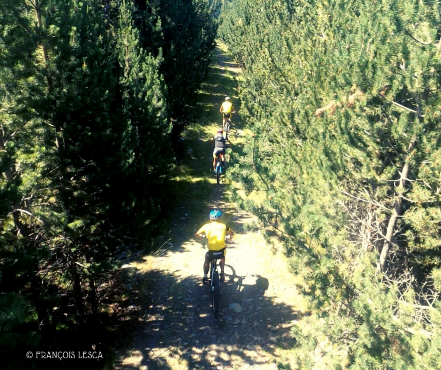 Espace R Bikes Puigmal - Pyrénées - Cerdagne - Centre d'accueil UDSIS de Cotzé  - La Forêt Magique