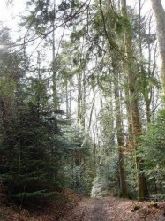 Les trois monts
