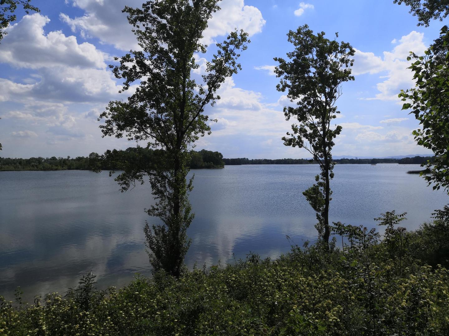 R  Bikes We Ride Vaulx-en-Velin - Promenade autour des lacs