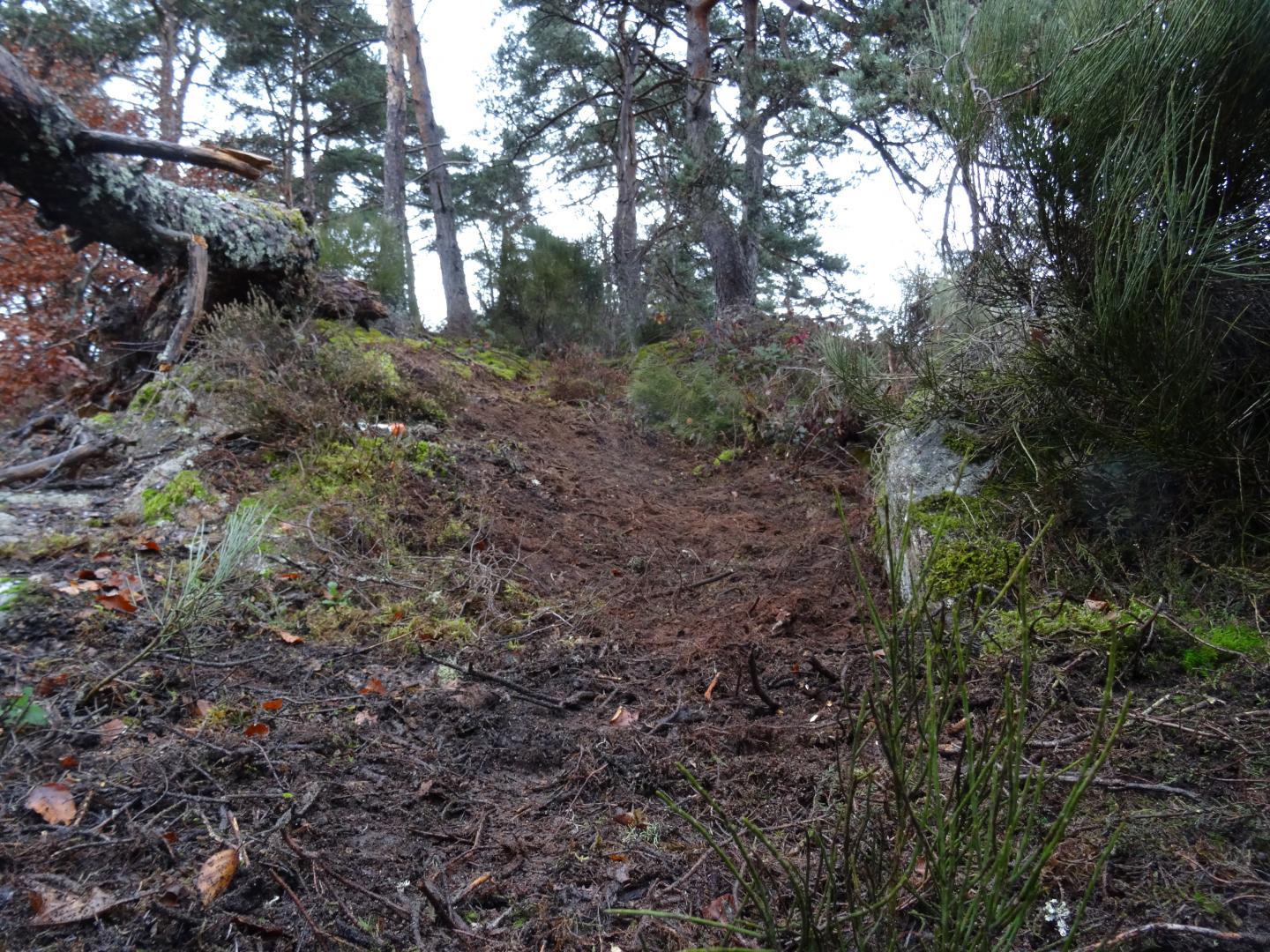Boucle de type enduro au départ de Crespinhac