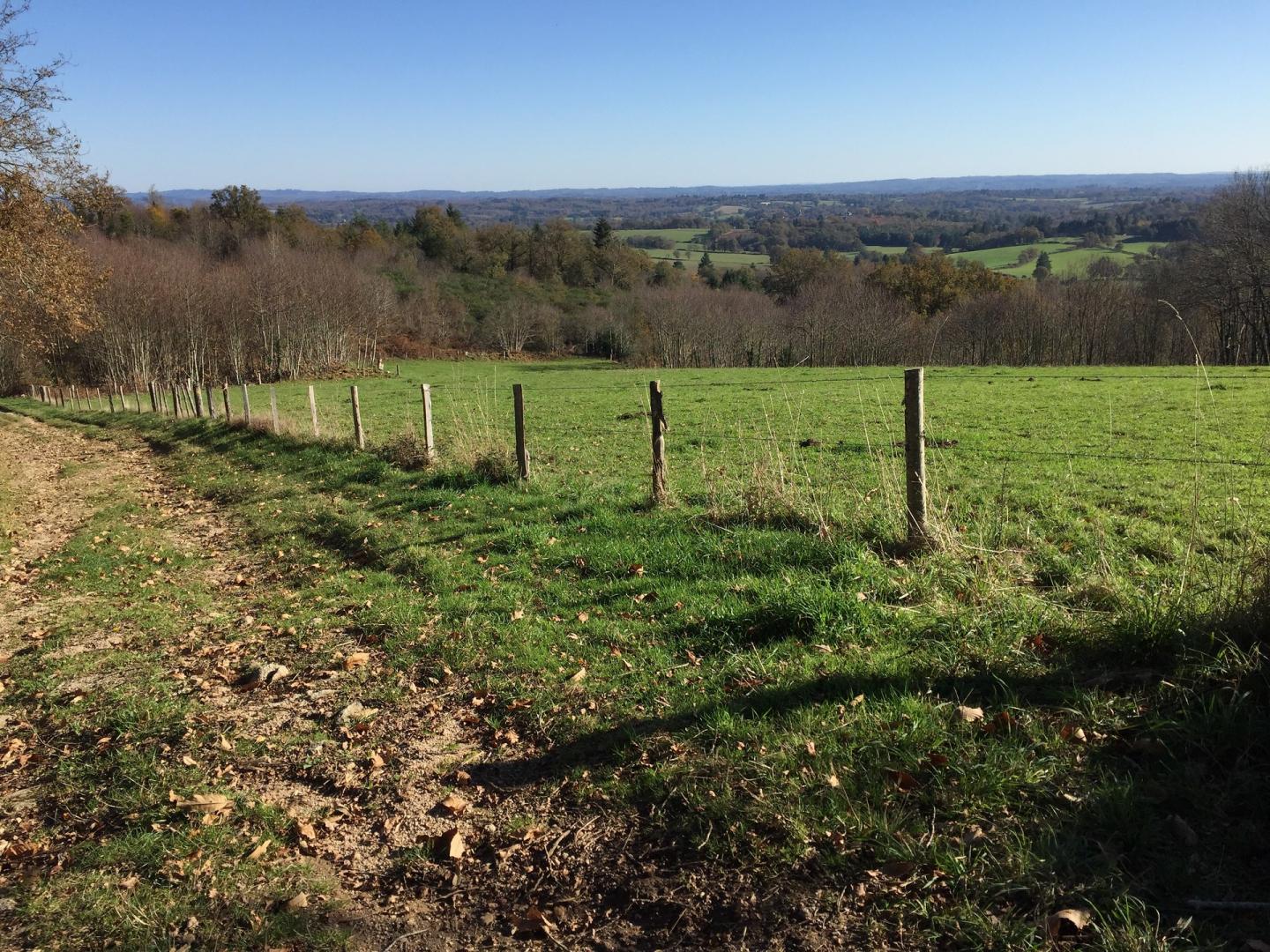 Espace VTT-FFC des Monts de Blond - Circuit n°7: Les Paisses