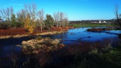 Bord de Loire
