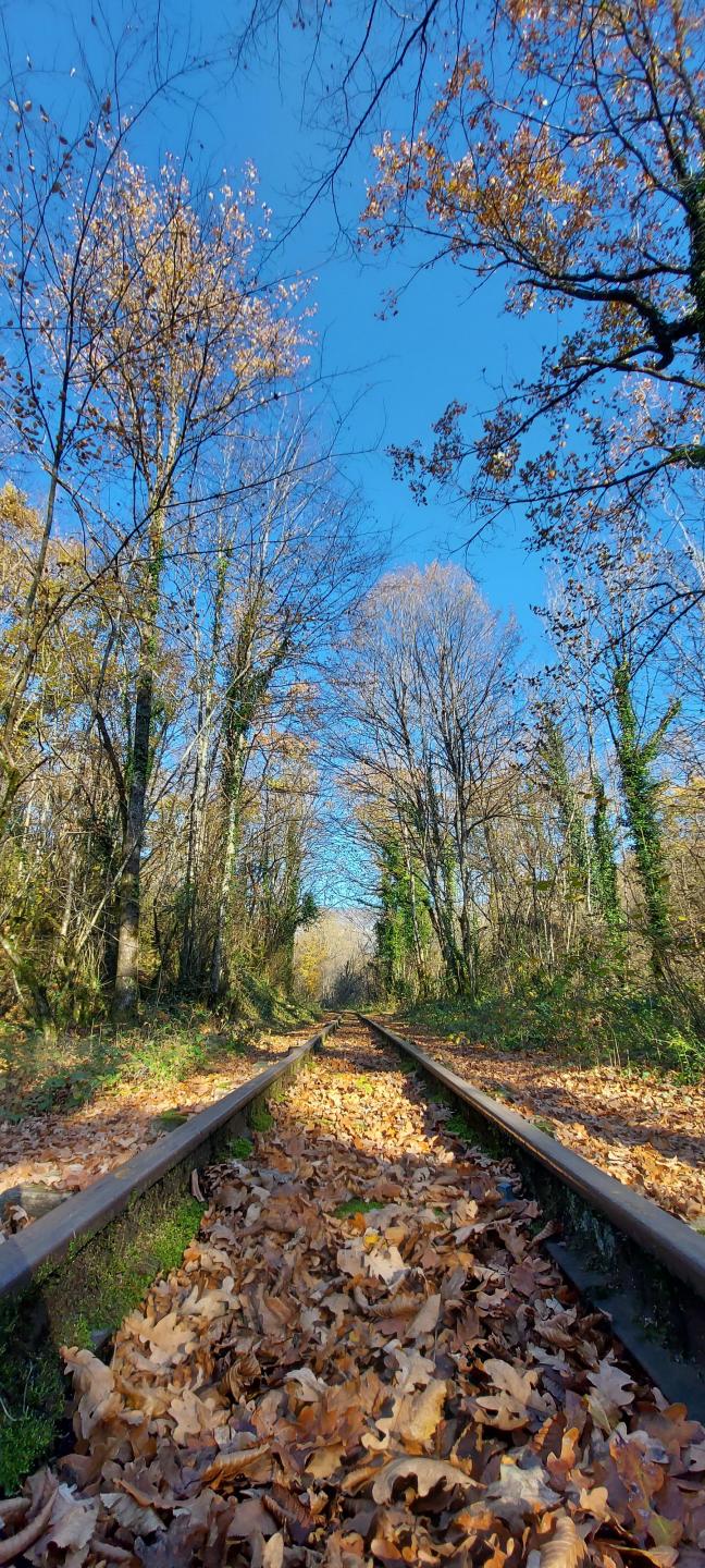Base FFC Vallée Bleue N°1 : Le bois du Corniolay