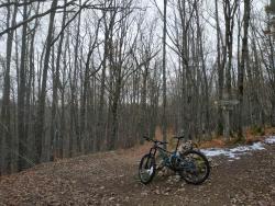 VTT-23656