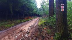 Balisages GR 7 et VTT