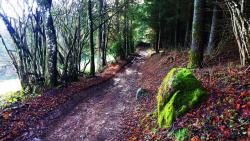 GR 7, Chemin vers la Croix Carrel