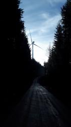 Piste forestière sur le GR 7 montant aux éoliennes