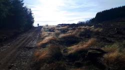 Montée sur le GR 7 après le Col du Pin Bouchain