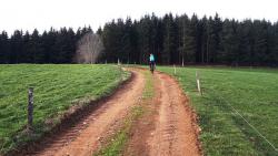 Vers la Forêt Départementale du Thivard (702 m)