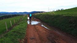 Piste agricole pleine de flaques