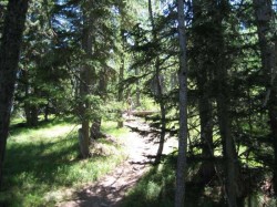 Descente sur Plampinet