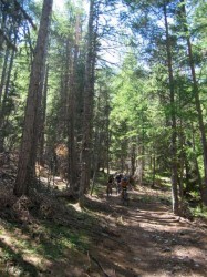Descente sur Plampinet