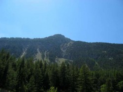 Plampinet