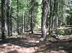 Descente sur Plampinet