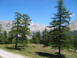 Descente sur Plampinet