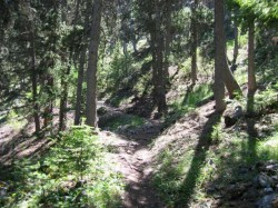 Descente sur Plampinet