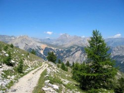 Descente sur Plampinet