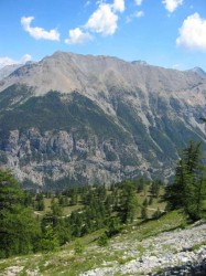 Descente sur Plampinet