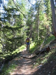 Descente sur Plampinet