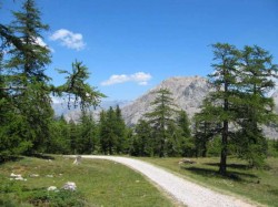 Descente sur Plampinet