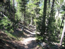 Joli single-track