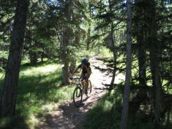 Descente sur Plampinet