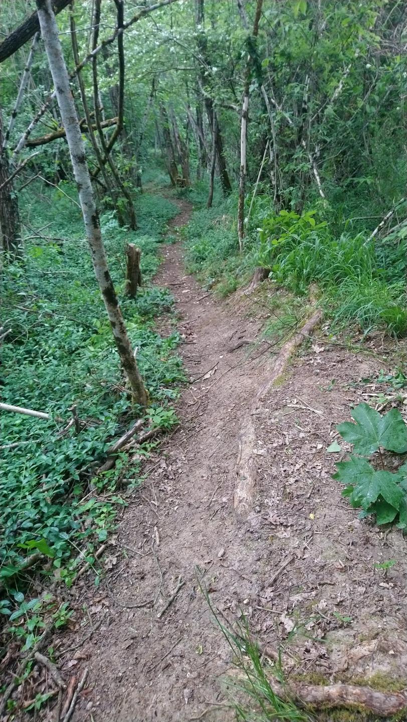 Espace VTT-FFC Entre Bourges, Menetou-Salon, Sancerre - Circuit N° 3 : La Rose
