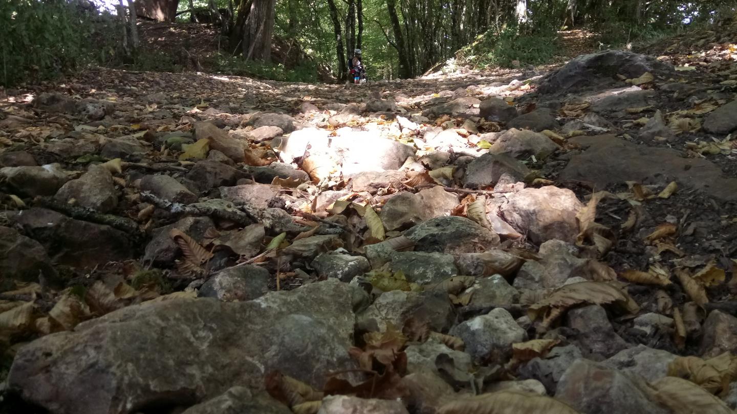 Espace VTT-FFC Entre Bourges, Menetou-Salon, Sancerre - Circuit N° 5 bis : Les Bardys bis