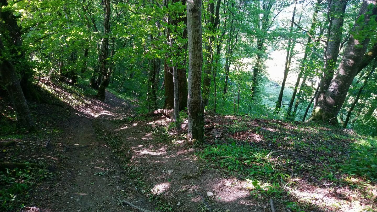 Espace VTT-FFC Entre Bourges, Menetou-Salon, Sancerre - Circuit N° 10 : La Borne - Cathédrale Linard